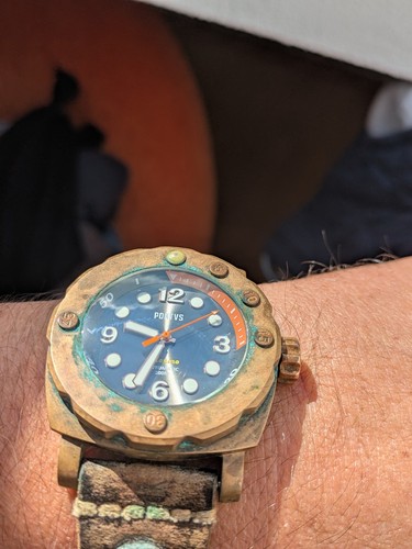 Pontvs marino bronze diver - pontvs,